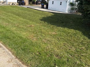 Vincent W.'s Yard Cutting service result