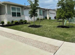 Erika R.'s Lawn Mowing service result