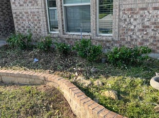 Bush Trimming by Guadalupe Florez for Karri B. in Fort Worth, TX