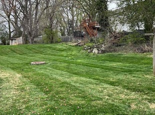 Linda P.'s Lawn Care service result