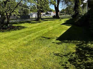 Lance M.'s Lawn Mowing Service service result