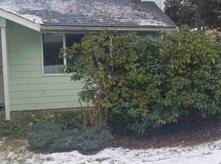 Bush Trimming by Robert Martin for Denh S. in Everett, WA