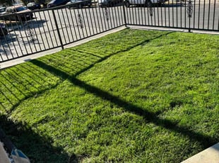 Lana T.'s Lawn Care service result