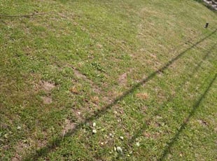 Cleanups by Eric Michaell Jackson for Victoria F. in Pittsburgh, PA