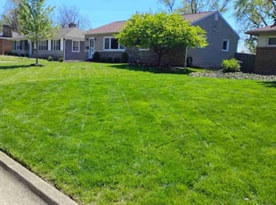 Catherine W.'s Lawn Maintenance service result