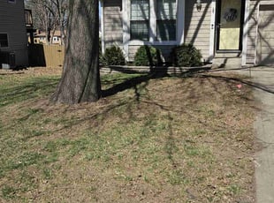 Leaf Removal by Zachary Baker for Beth S. in Kansas City, KS