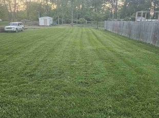 Iliana T.'s Lawn Care service result