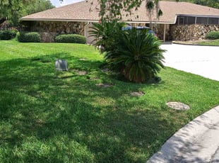 Kymico C.'s Lawn Mowing service result