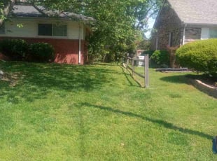 Alan D.'s Grass Cutting service result