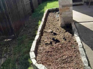 Weeding by Robert Camacho for Andrew S. in Austin, TX