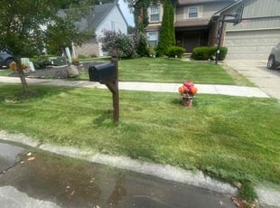 Kathy H.'s Grass Cutting service result