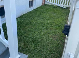 Ismael G.'s Lawn Maintenance service result