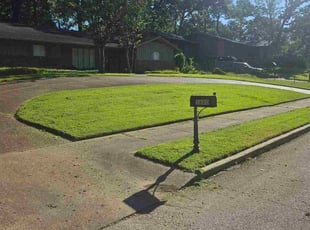 Demetria P.'s Lawn Care service result