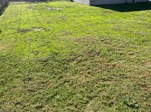 BETTY J.'s Lawn Mowing Service service result