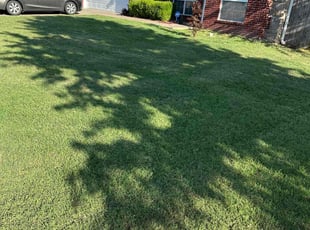 Renee C.'s Grass Cutting service result