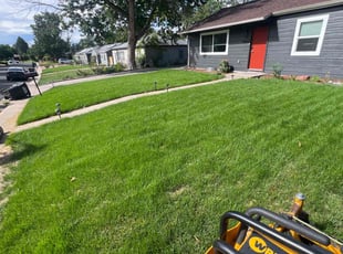 Kristen P.'s Lawn Mowing service result