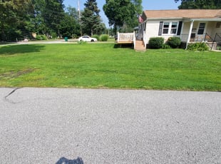 Tatyana M.'s Grass Cutting service result