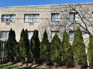 Bush Trimming by Michael Williams for Tim B. in Milwaukee, WI