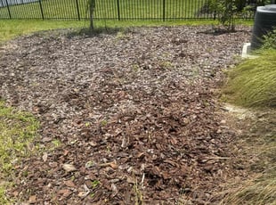 Duane W.'s Flower Bed Weeding service result