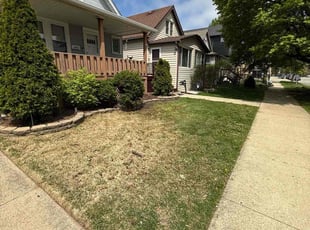 Leaf Removal by Carlos Vallejo for Juan P. in Chicago, IL
