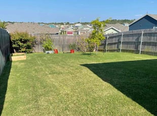 Shuo Y.'s Lawn Mowing Service service result