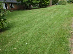 Linda D.'s Lawn Care service result