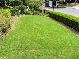 Andrew H.'s Lawn Care service result