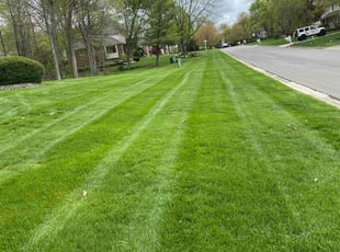 Candace W.'s Lawn Mowing Service service result