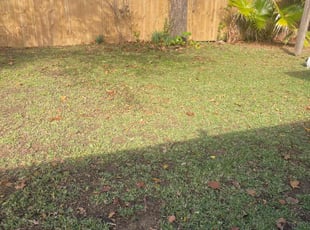 Leaf Removal by Carl George for Rebecca B. in Baton Rouge, LA