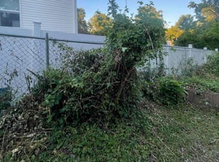 Tim M.'s Bush Trimming service result