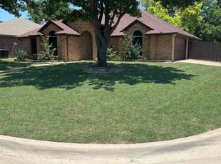 Margarit S.'s Yard Cutting service result