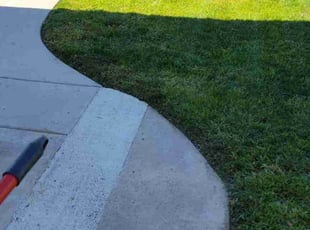 aaron c.'s Lawn Mowing Service service result