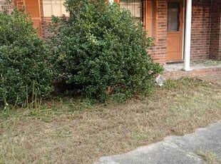 Bush Trimming by Martin Boroughs for Richard K. in Summerville, SC