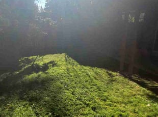 Leaf Removal by Justin Wheeldon for Taylor M. in Kirkland, WA