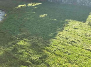 Calvin H.'s Lawn Mowing Service service result
