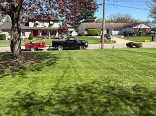 Theresa W.'s Lawn Care service result