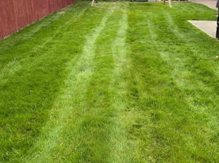 John M.'s Lawn Mowing Service service result