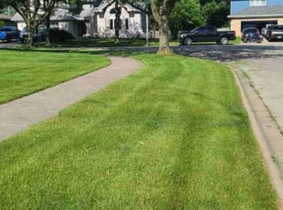 Matthew M.'s Yard Cutting service result