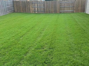 Susan T.'s Lawn Mowing service result