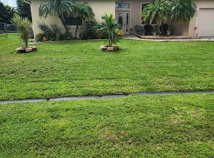 Orielle M.'s Grass Cutting service result