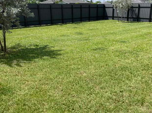 michael m.'s Lawn Mowing service result