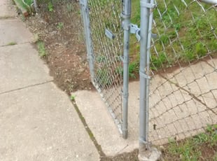 Leaf Removal by Dwayne Frazer for Victoria T. in Baltimore, MD
