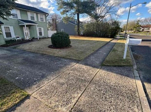Icia h.'s Lawn Service service result
