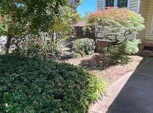Bush Trimming by Jarvis Hambrick for Justin M. in Greenville, SC