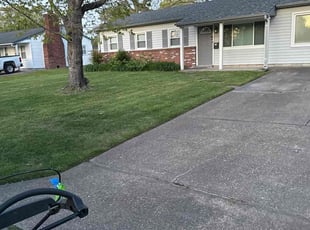 Courtney N.'s Lawn Mowing Service service result