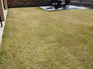 Liz M.'s Lawn Care service result