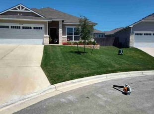 Dana C.'s Lawn Care service result