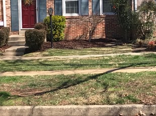 Weeding by Kamonta Hackey for Michelle DUPLICATE ACCOUNT4 L. in Rockville, MD