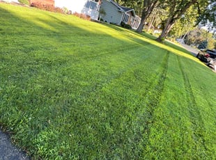 Allen G.'s Grass Cutting service result
