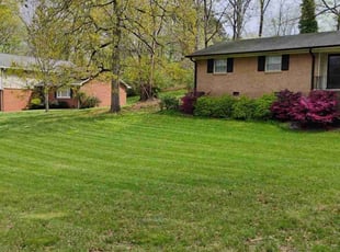 Joshua B.'s Yard Cutting service result